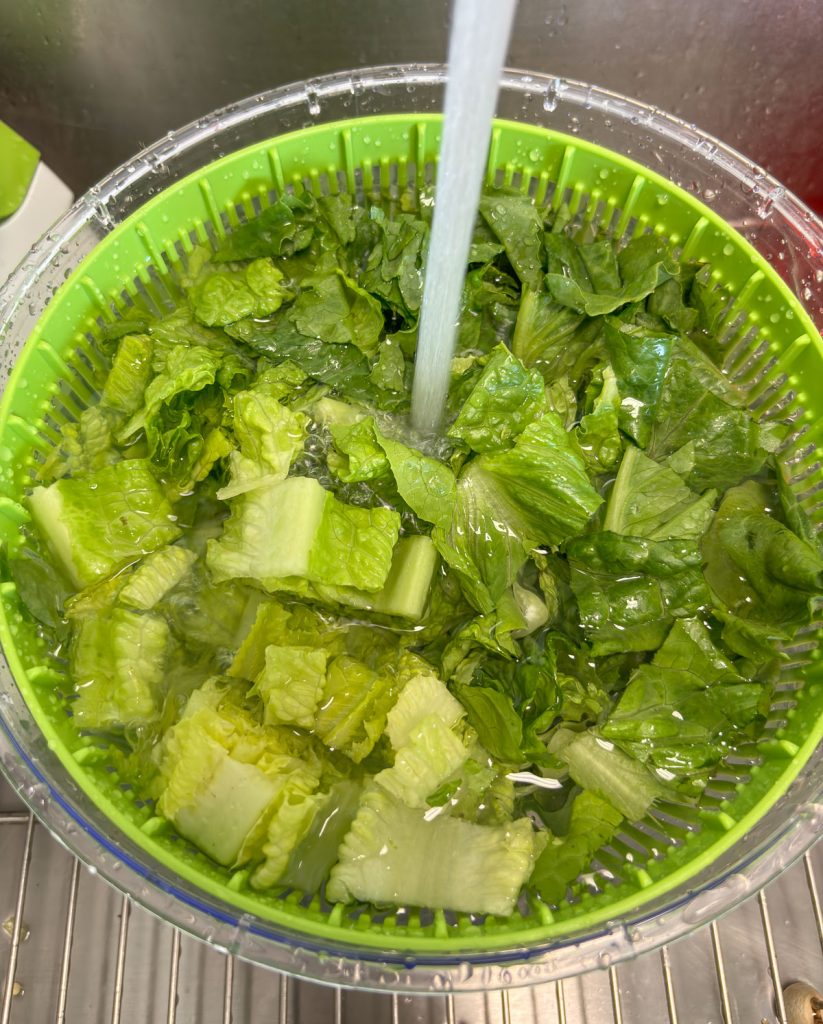 washing romain lettuce in colander in kitchen sink, water is running into the colander