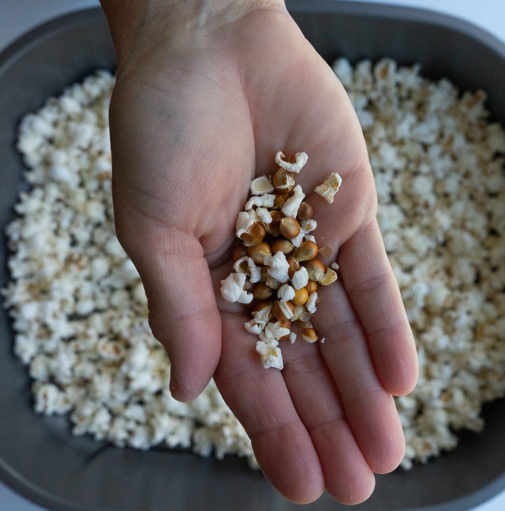 hand holding unpopped kernels of popcorn over a pan of popped popcorn