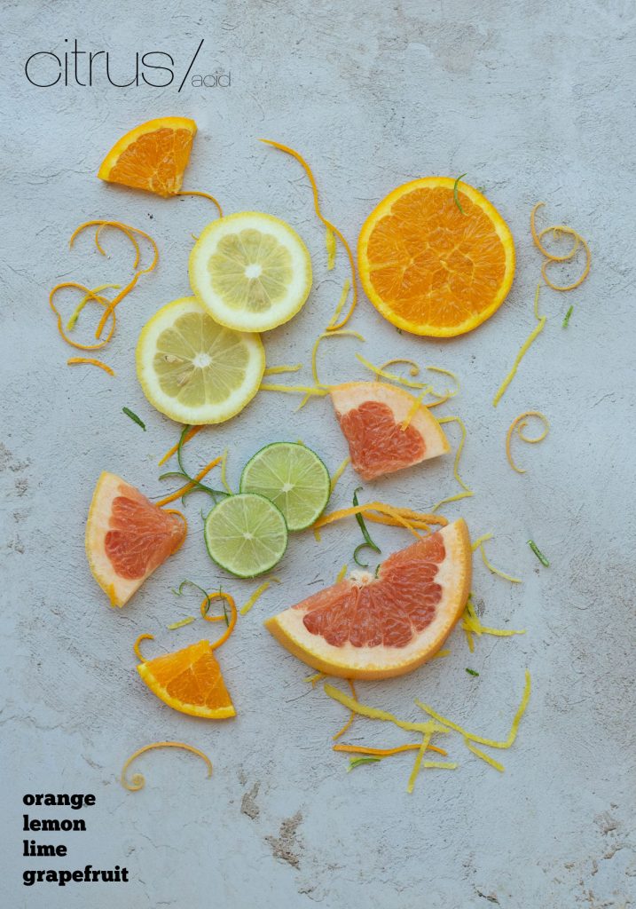 slices of orange lemon lime and grapefruit layed out on a gray counnter top with zest of the citrus sprinkled around